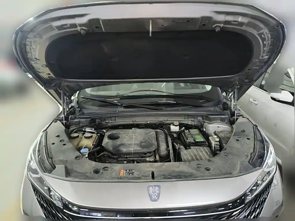 Roewe RX5 2023 2023 1.5T Superior Edition