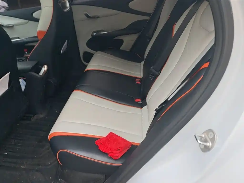 BYD Dolphin 2021 Model 405km Fashion Edition фото 15