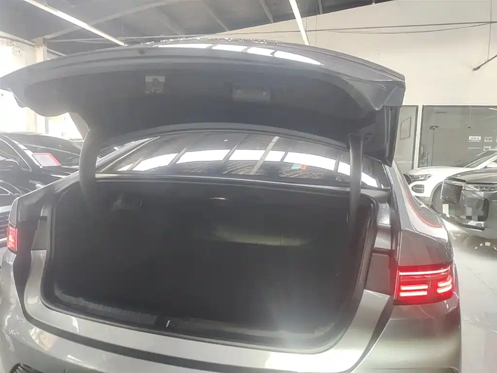 BYD Destroyer 05 2023 Model Champion Edition DM-i 120KM Luxury фото 19