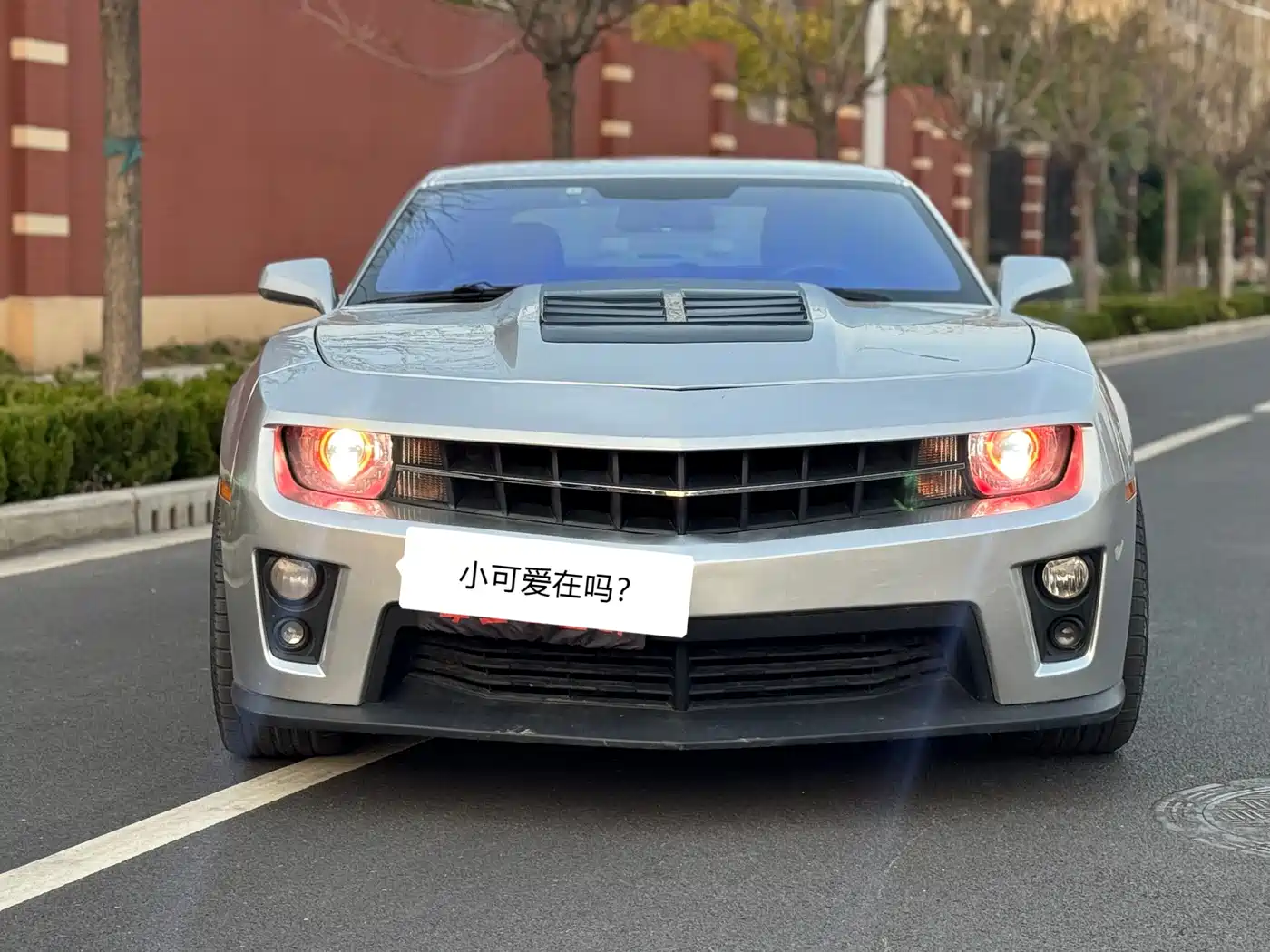 Chevrolet Camaro 2012 Facelift 3.6L Legend Performance Edition фото 2