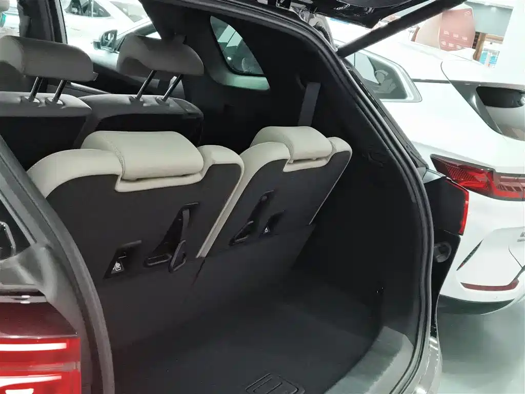 BYD Tang New Energy 2025 Smart Driving Edition DM-i 115KM Flagship фото 15