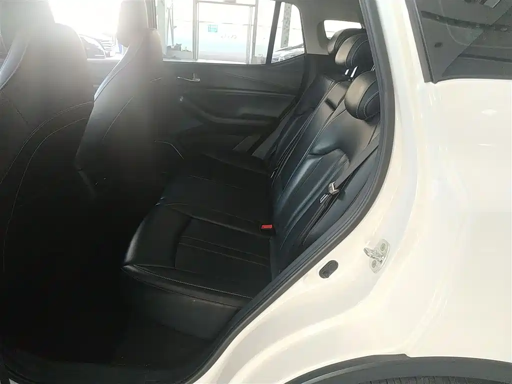 GAC Trumpchi Trumpchi GS4 2022 270T Auto Pilot Edition фото 13