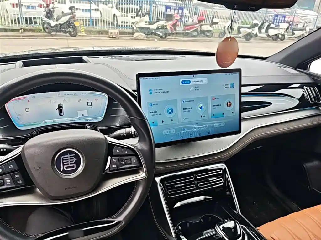 BYD Tang New Energy 2022 DM-p 215KM AWD Executive фото 10