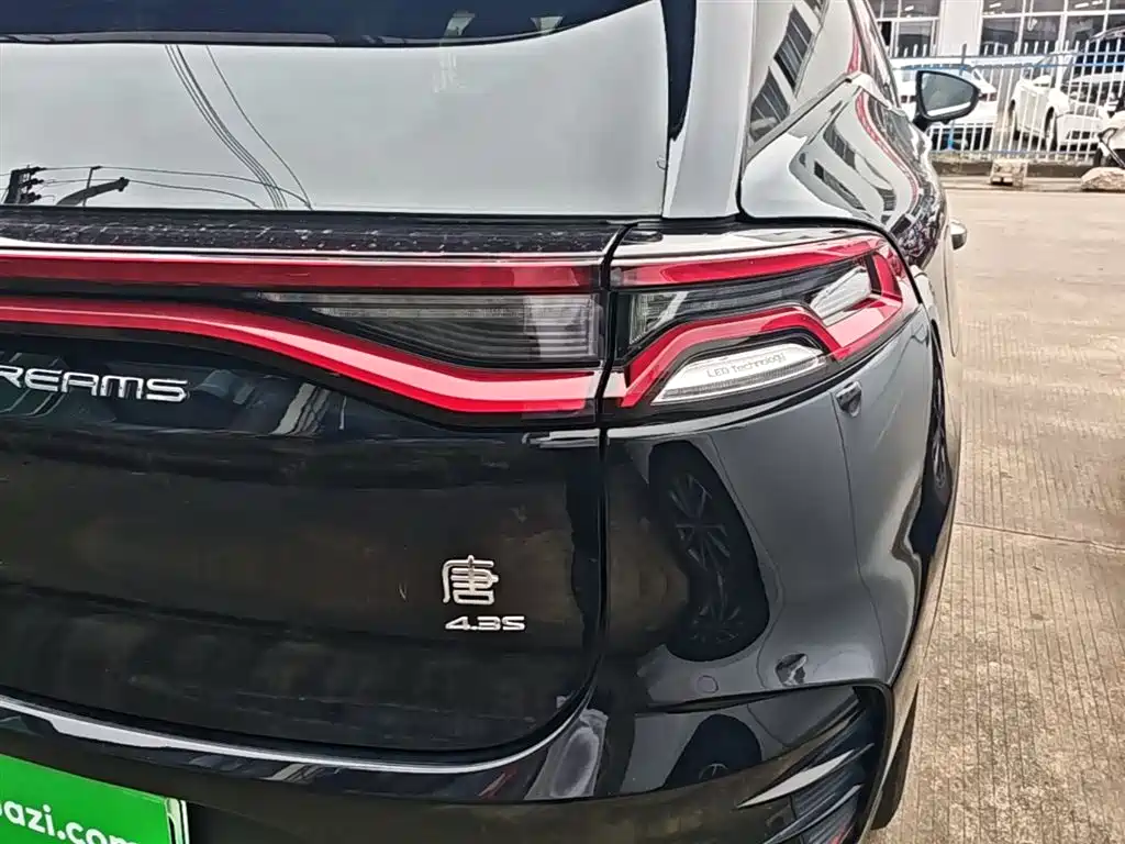 BYD Tang New Energy 2022 DM-p 215KM AWD Executive фото 8