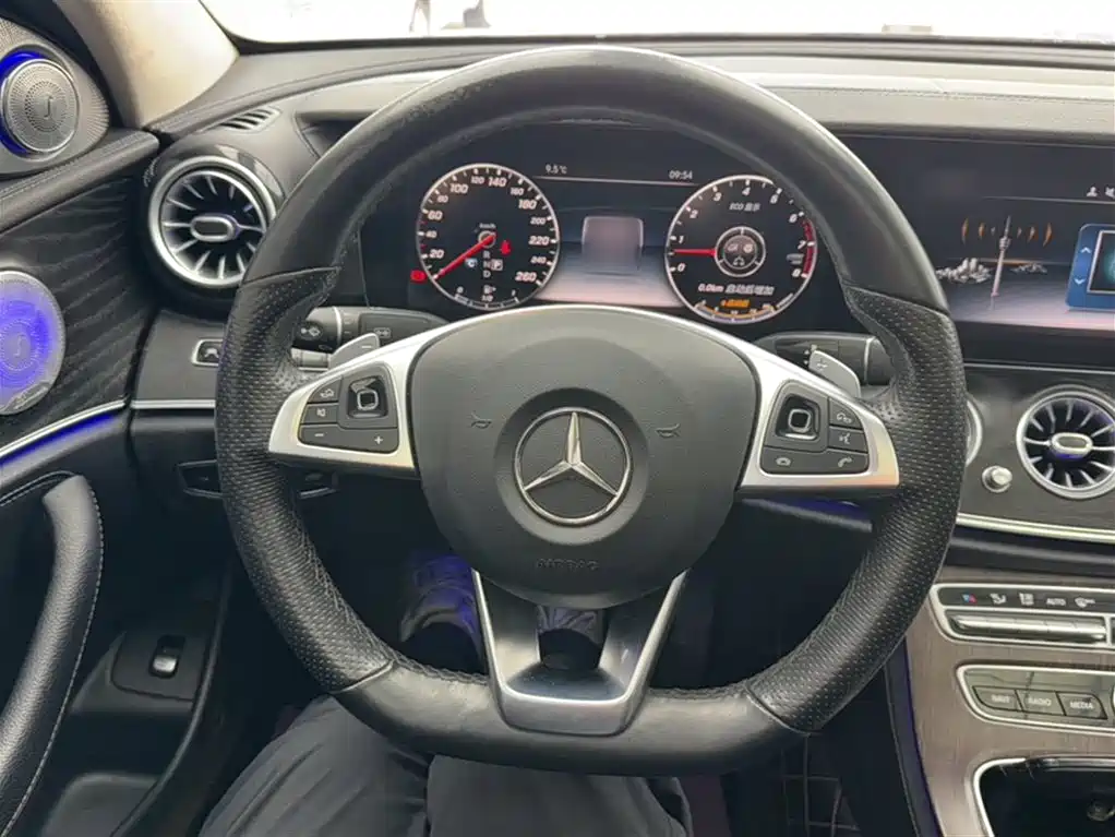 Mercedes-Benz E-Class 2017 E 320 L Sport 4MATIC фото 13