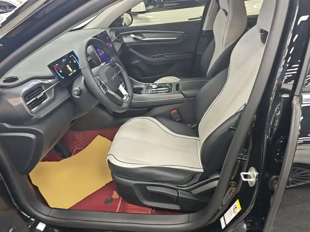 BYD Destroyer 05 2024 Glory Edition DM-i 120KM Luxury фото 15
