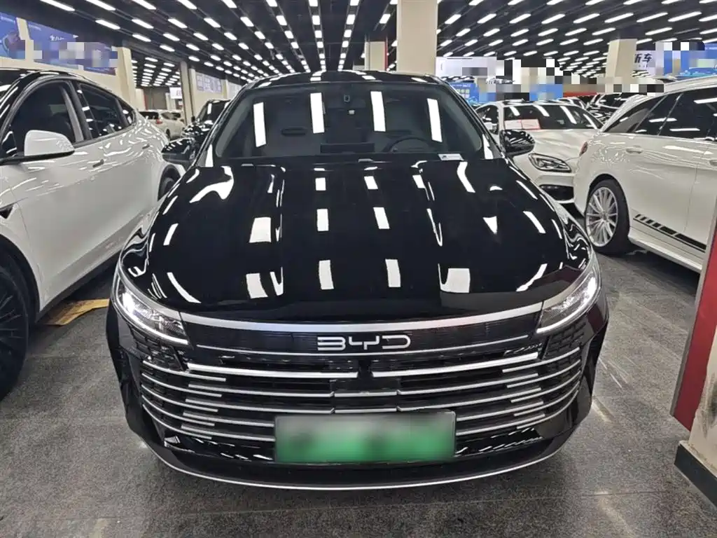 BYD Destroyer 05 2024 Glory Edition DM-i 120KM Luxury фото 3