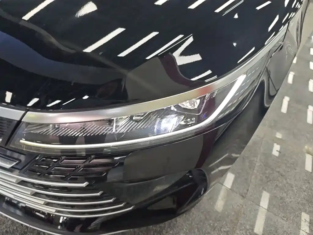 BYD Destroyer 05 2024 Glory Edition DM-i 120KM Luxury фото 24