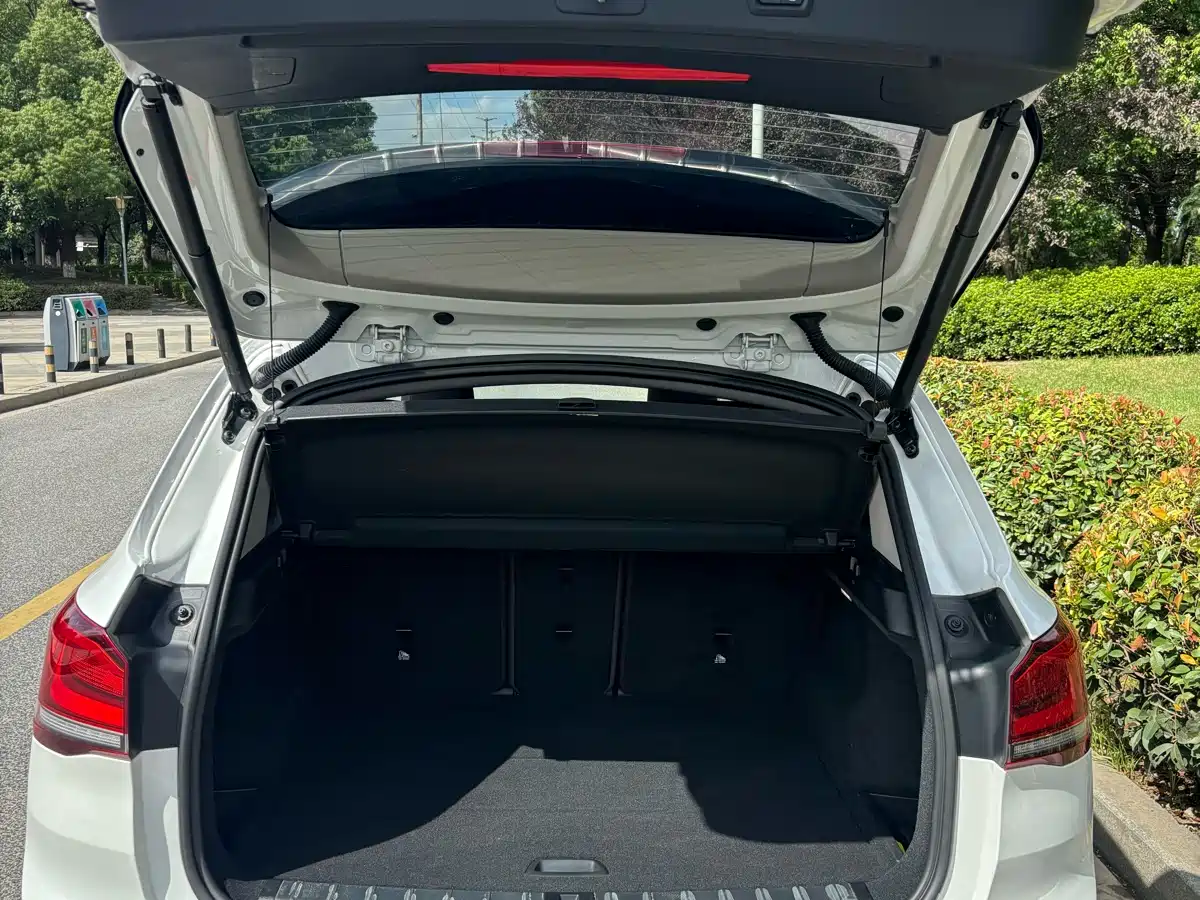 BMW X1 2021 sDrive25Li Leading фото 15