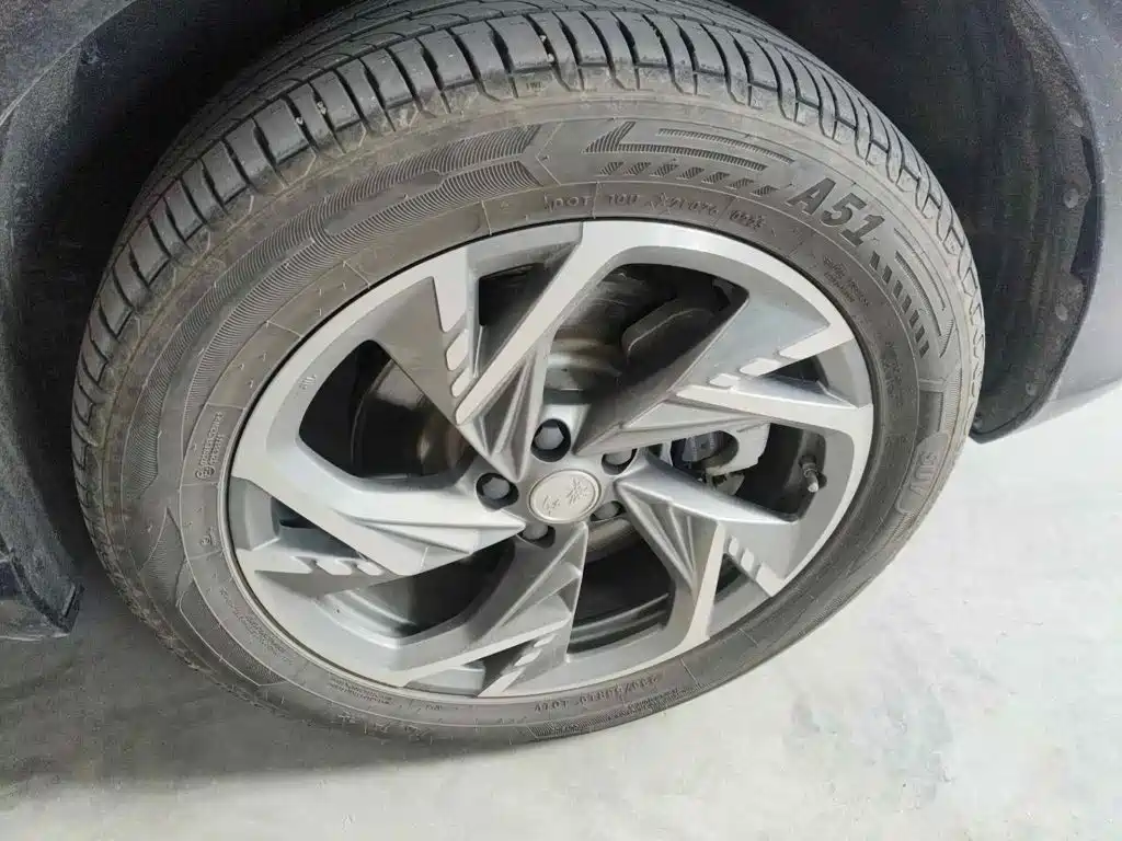 Hongqi HS3 PHEV 2025 2024 PHEV 115km Power Edition
