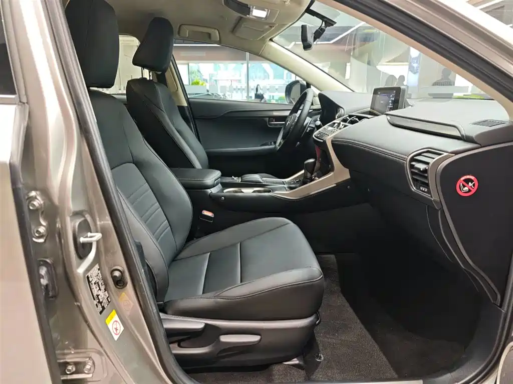 Lexus NX 2018 Model 200 FWD Fengxing Edition China V фото 11