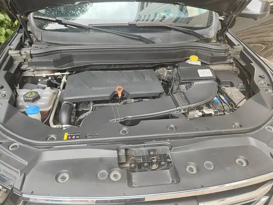 Haval H6 2020 1.5GDIT Automatic Platinum Champion Edition фото 10