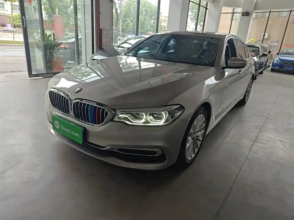 BMW 5 Series 2020 530Li Leading Luxury Package