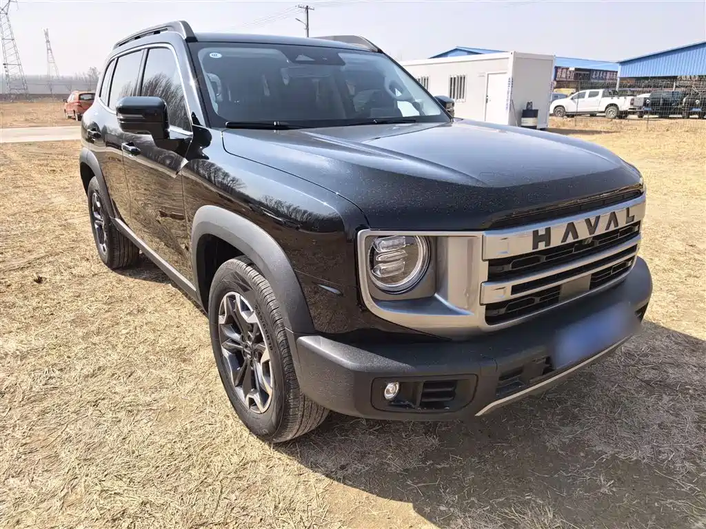 Фото 23 - Haval Dargo