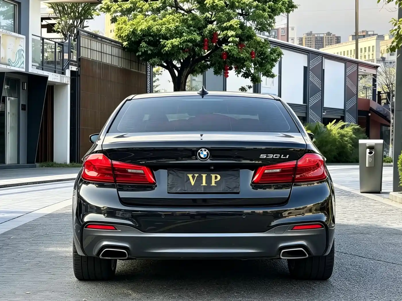 BMW 5 Series 2019 530Li Leading M Sport Package фото 8