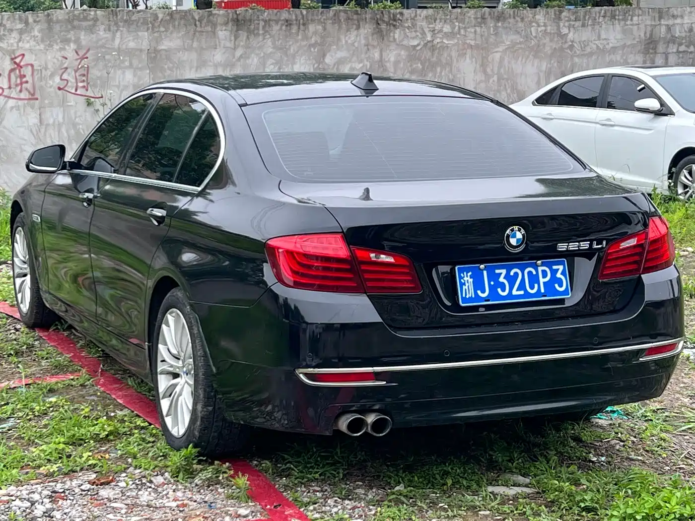 BMW 5 Series 2017 525Li Luxury Design Package фото 12