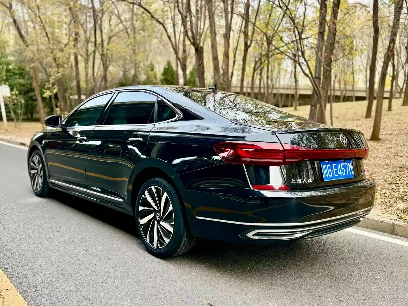 Volkswagen Passat 2022 330TSI Luxury Edition фото 4