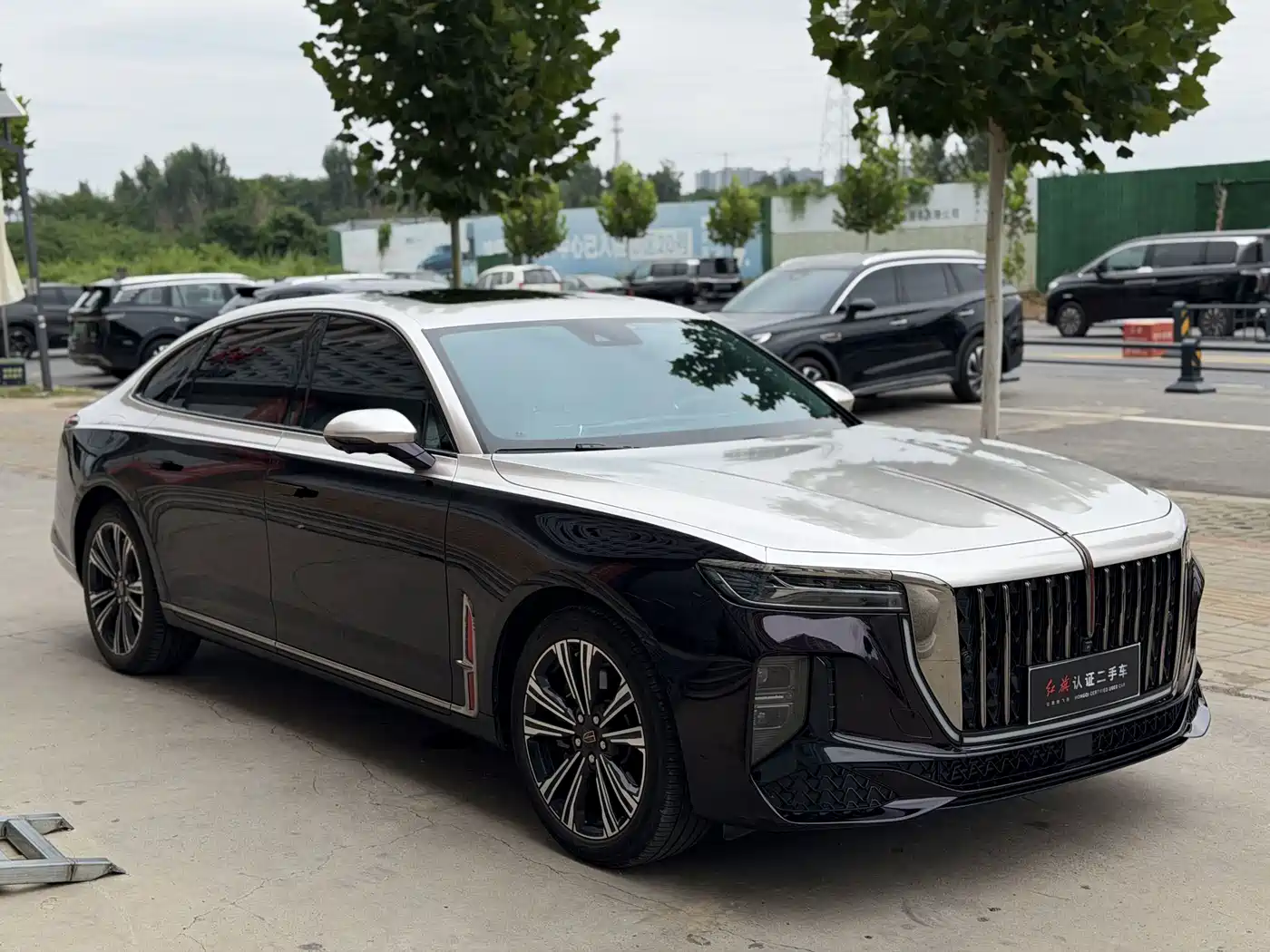 Hongqi H9 2025 2024 2.0T Qi Enjoy Private Fashion Edition