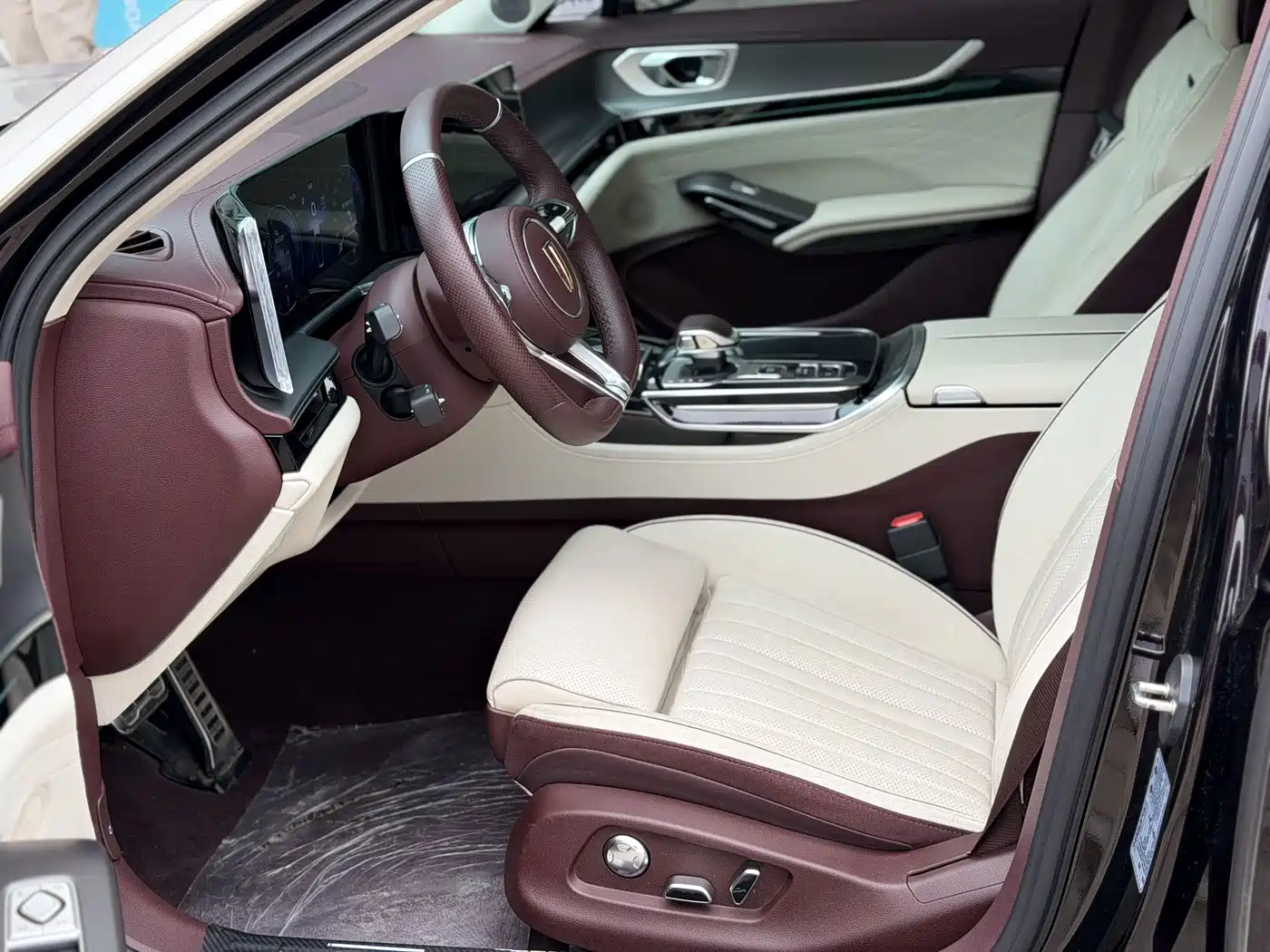 Hongqi H9 2025 2024 2.0T Qi Enjoy Private Fashion Edition