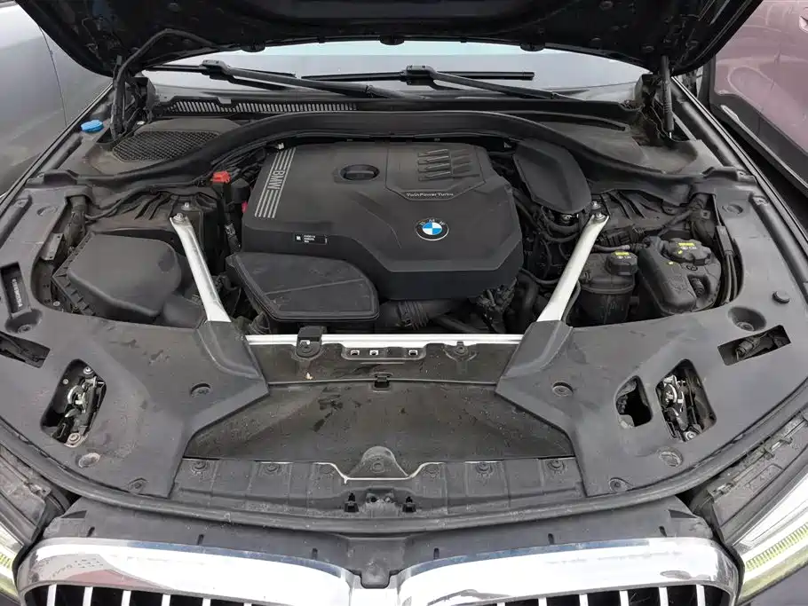 BMW 5 Series 2021 530Li Leading M Sport Package фото 10