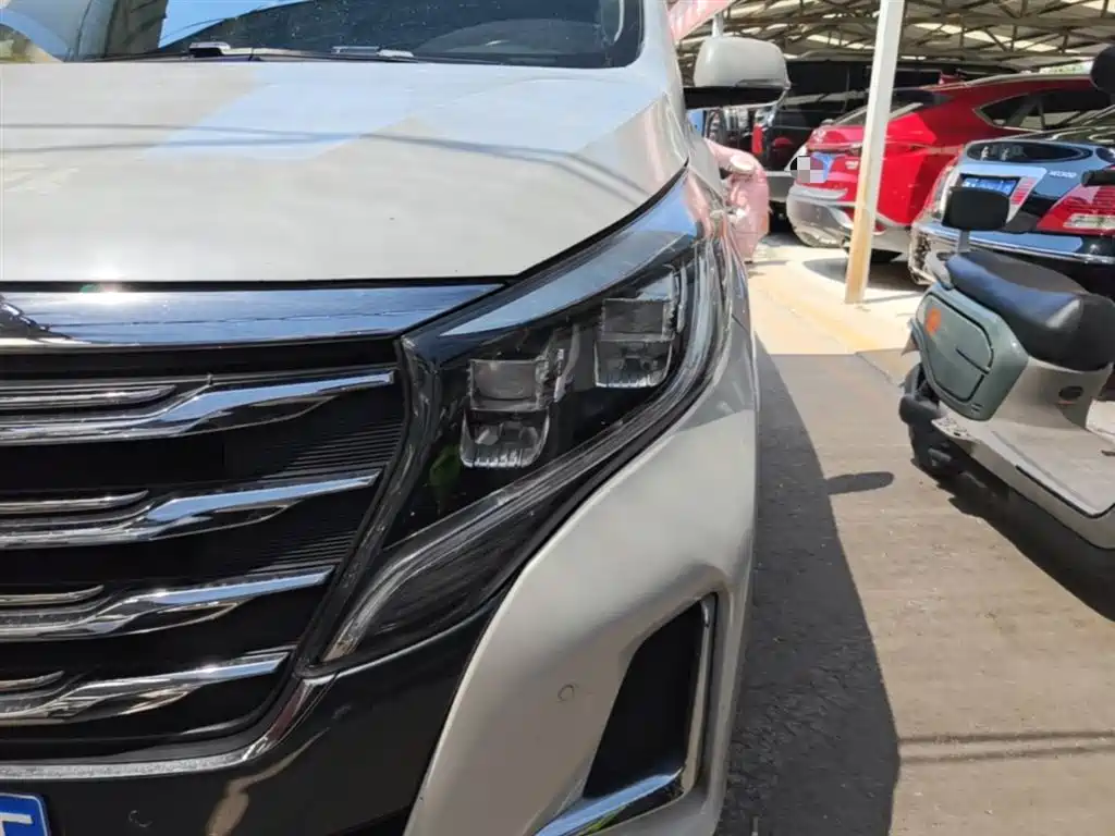 GAC Trumpchi Trumpchi M8 2020 Pilot 390T Prestige Edition фото 24