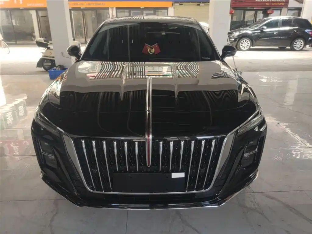 Hongqi H5 2024 2.0T Automatic Smart Connect Flag Smooth Edition фото 3