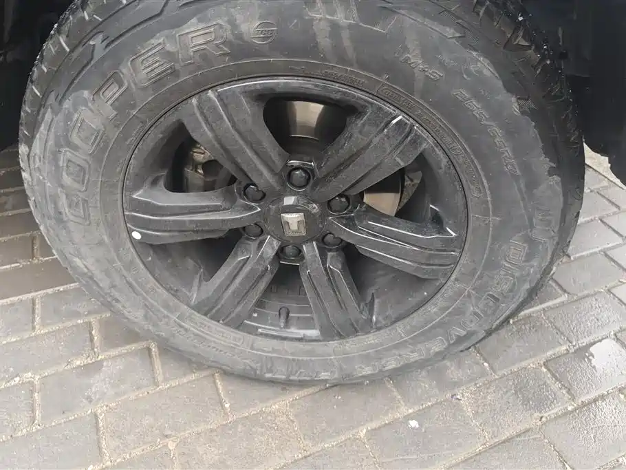 Tank 300 2023 Off-Road Edition 2.0T Conqueror фото 6