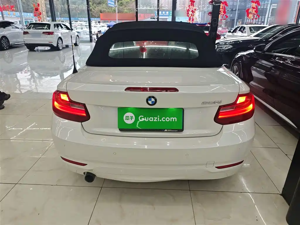 BMW 2 Series (Import) 2015 218i Convertible Coupe фото 6