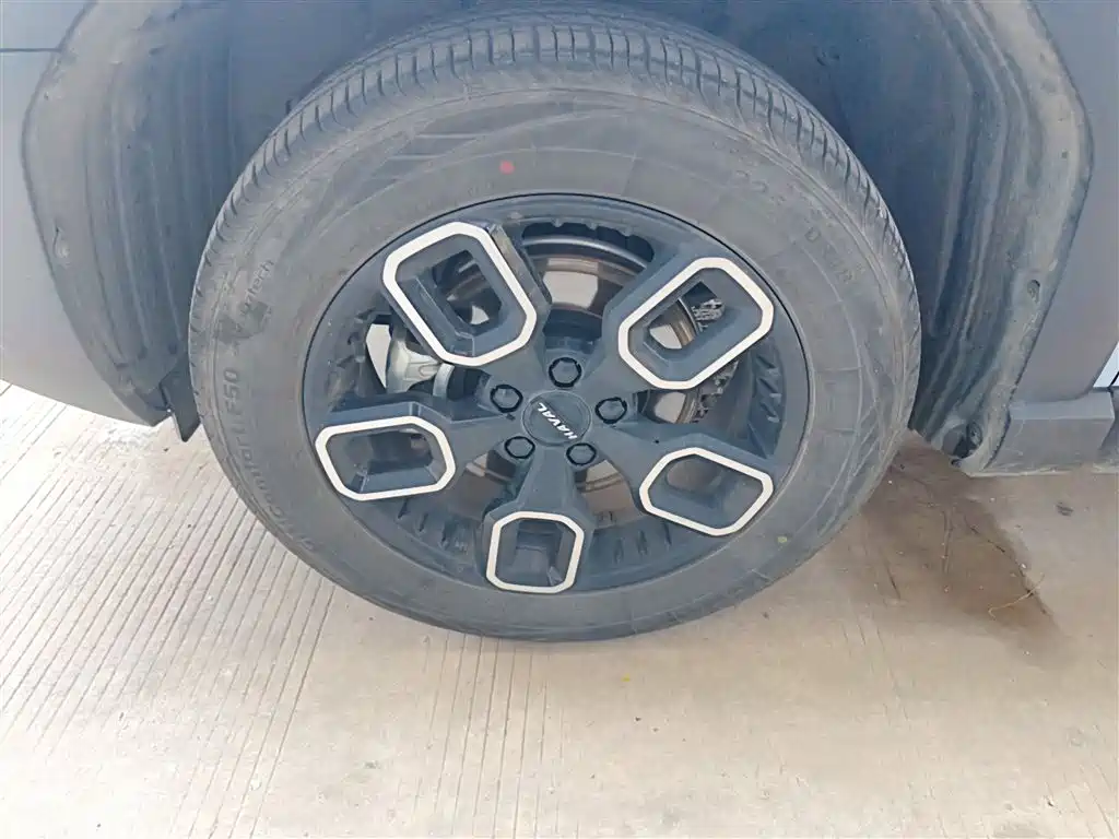 Haval Cool Dog 2022 1.5T DCT 2WD Trend Edition фото 23