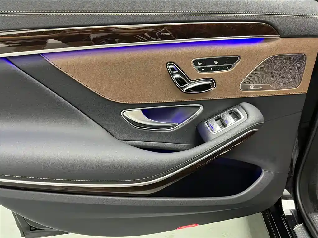Mercedes-Benz S-Class 2020 S 350 L Premium Edition Collector's Version фото 16