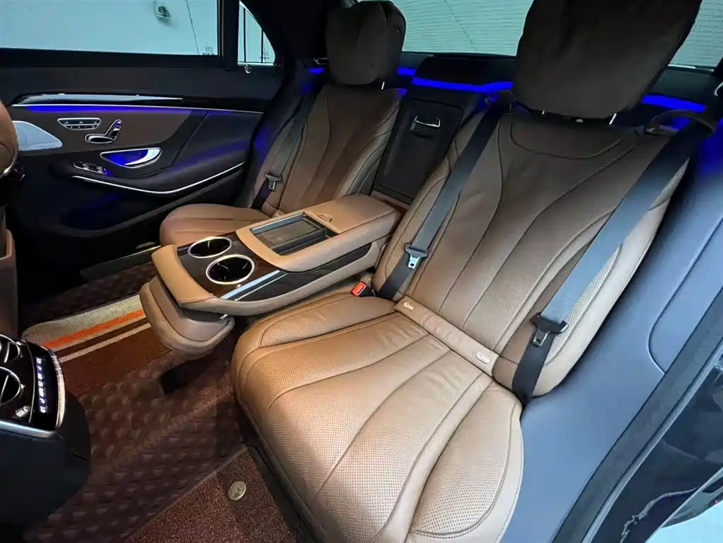 Mercedes-Benz S-Class 2020 S 350 L Premium Edition Collector's Version фото 15