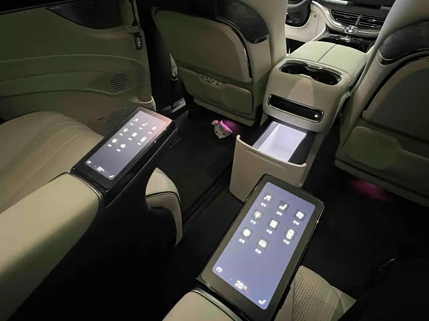 Denza D9 2024 DM-i 1050 Premium фото 9