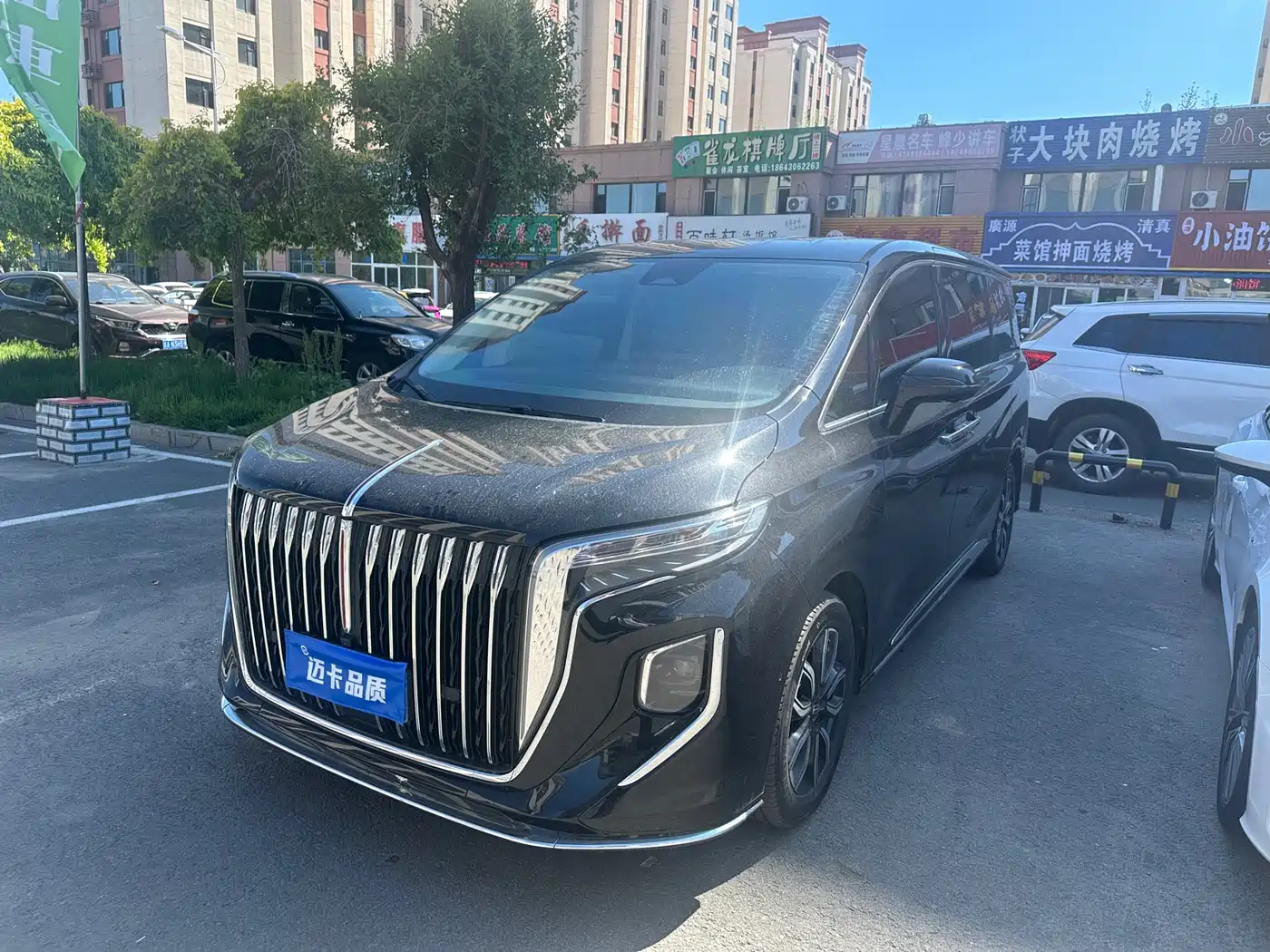 Hongqi HQ9 2023 2.0T Smart Connect Flag Enjoy Edition