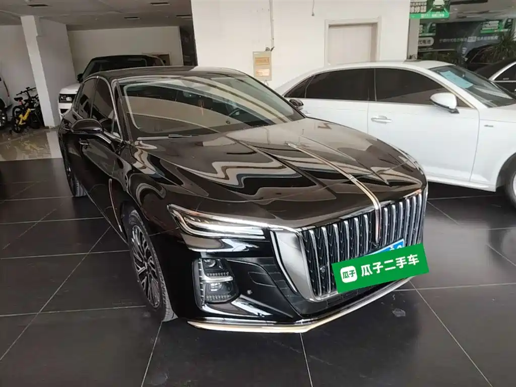 Hongqi H5 2024 2.0T Automatic Smart Connect Flag Smooth Edition фото 4