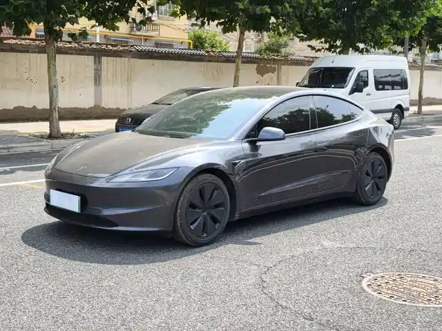 Tesla Model 3 2025 Model Rear-Wheel Drive Edition