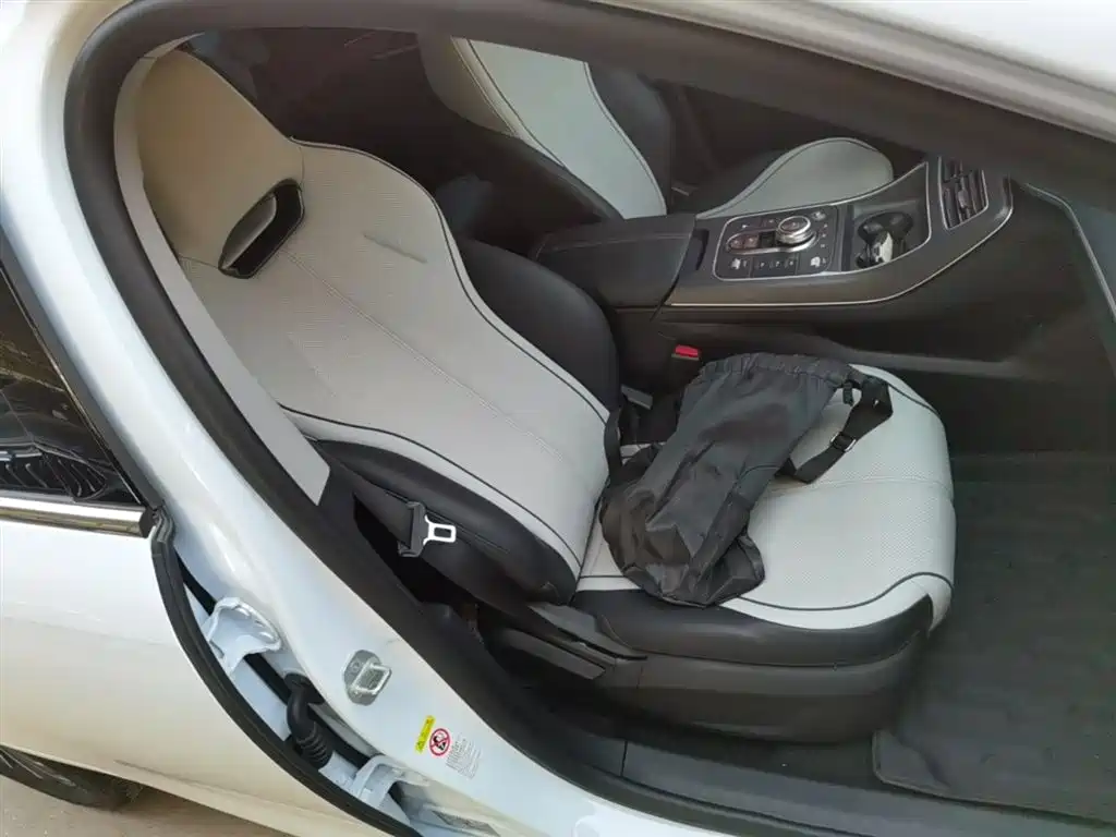 BYD Destroyer 05 2024 Glory Edition DM-i 55KM Luxury фото 25