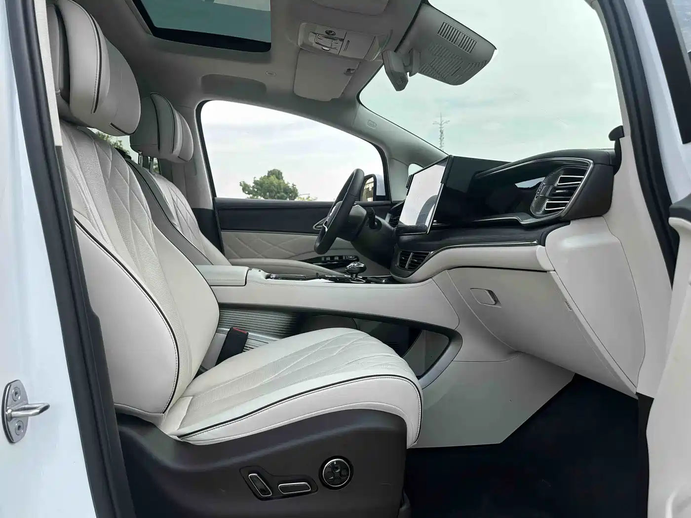 Denza D9 2024 DM-i 980 AWD Prestige фото 10