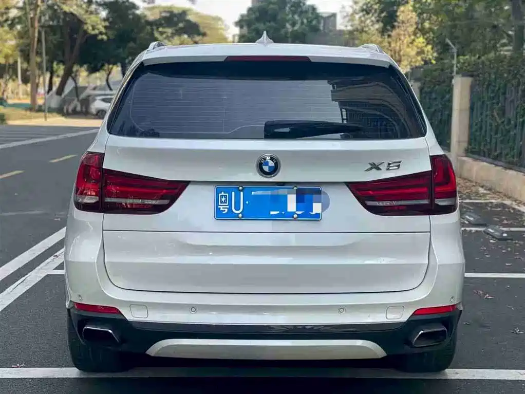 BMW X5 (Import) 2017 xDrive35i Elegance фото 5