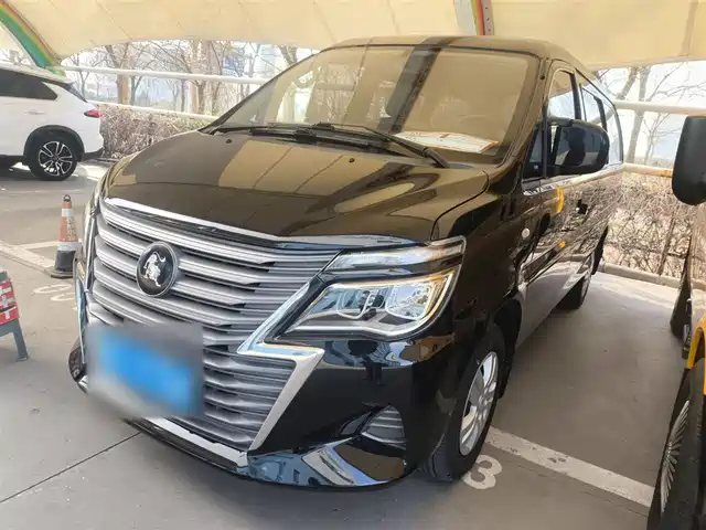 DONGFENG POPULAR LINGZHI 2024