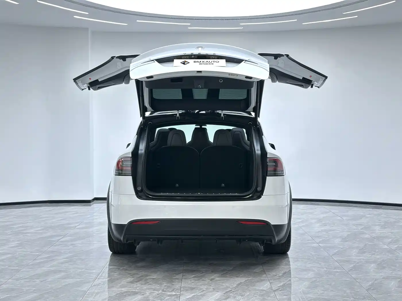 Tesla Model X 2017 2016 Model X P100D Performance