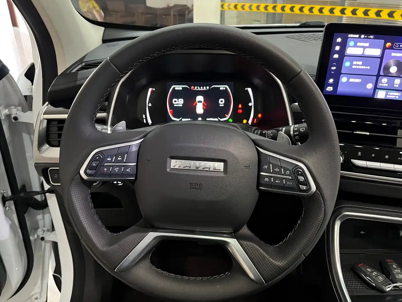 Haval H6 2023 National Trend Edition 1.5T Automatic Champion фото 12