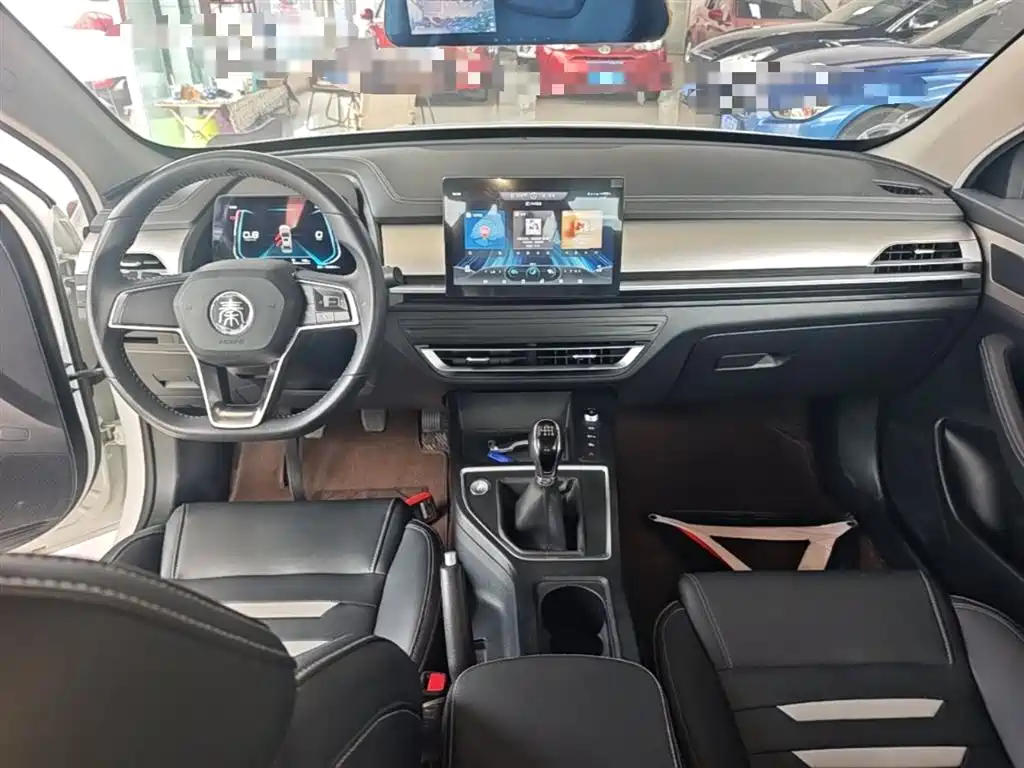 BYD Qin Pro 2020 Surpass Edition 1.5TI Manual Luxury фото 10