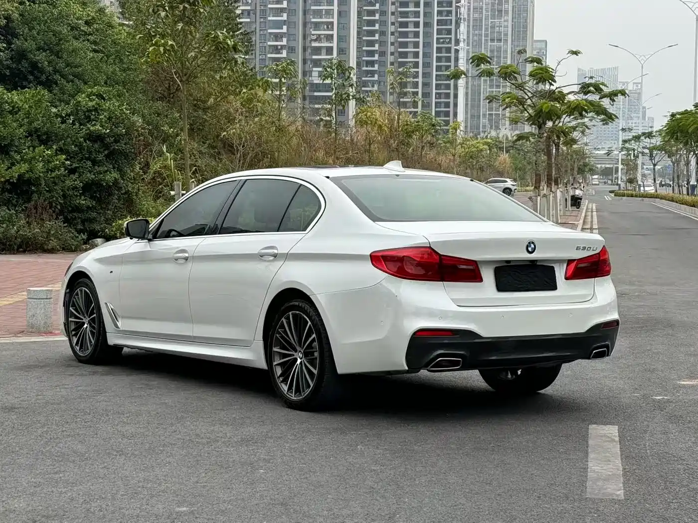 BMW 5 Series 2020 530Li Leading M Sport Package фото 9