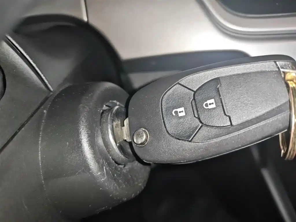 CHEVROLET XINGMAILUO
