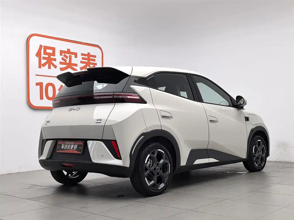 BYD Seagull 2025 Smart Drive Edition 305km Freedom Version фото 2
