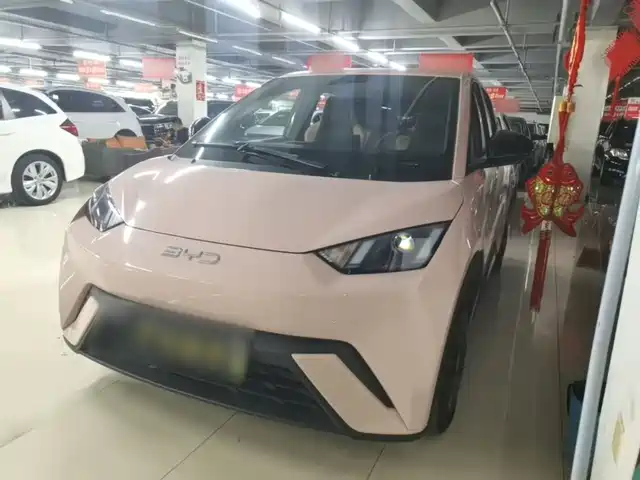 BYD Seagull 305km, Энергия