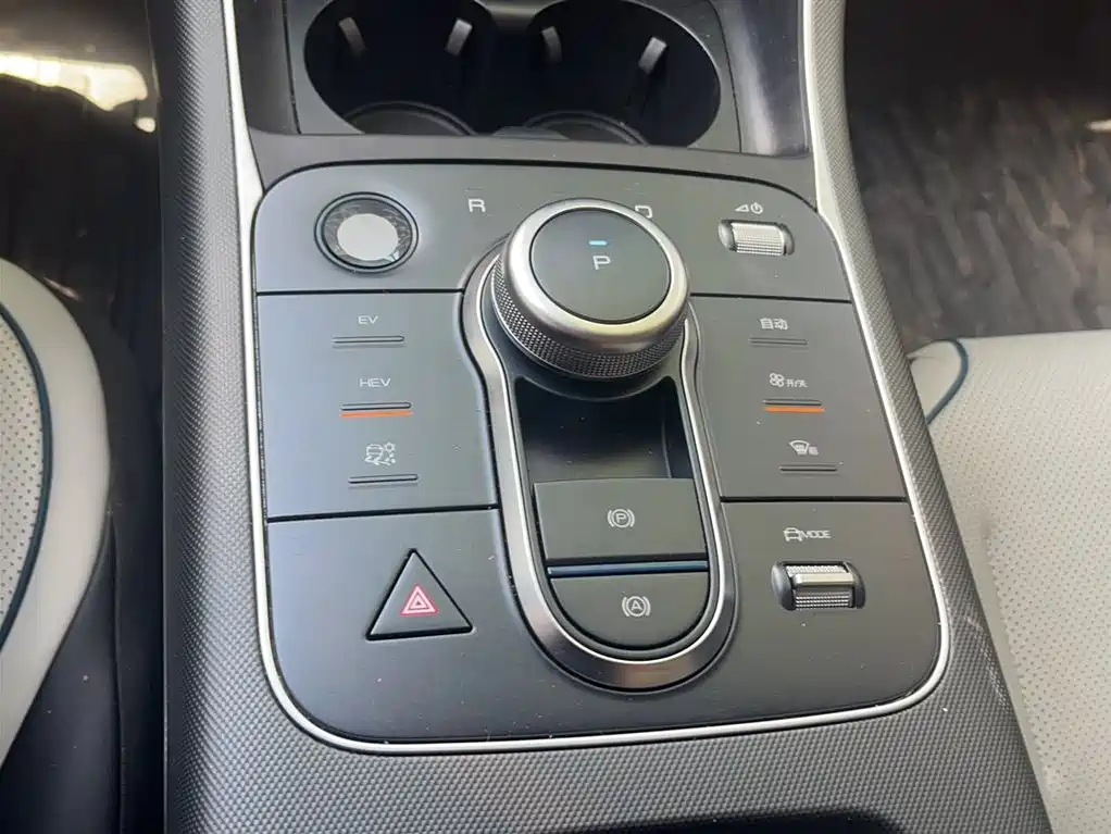 BYD Destroyer 05 2024 Glory Edition DM-i 55KM Luxury фото 10