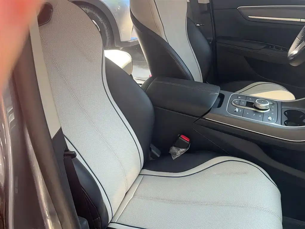 BYD Destroyer 05 2024 Glory Edition DM-i 55KM Luxury фото 3