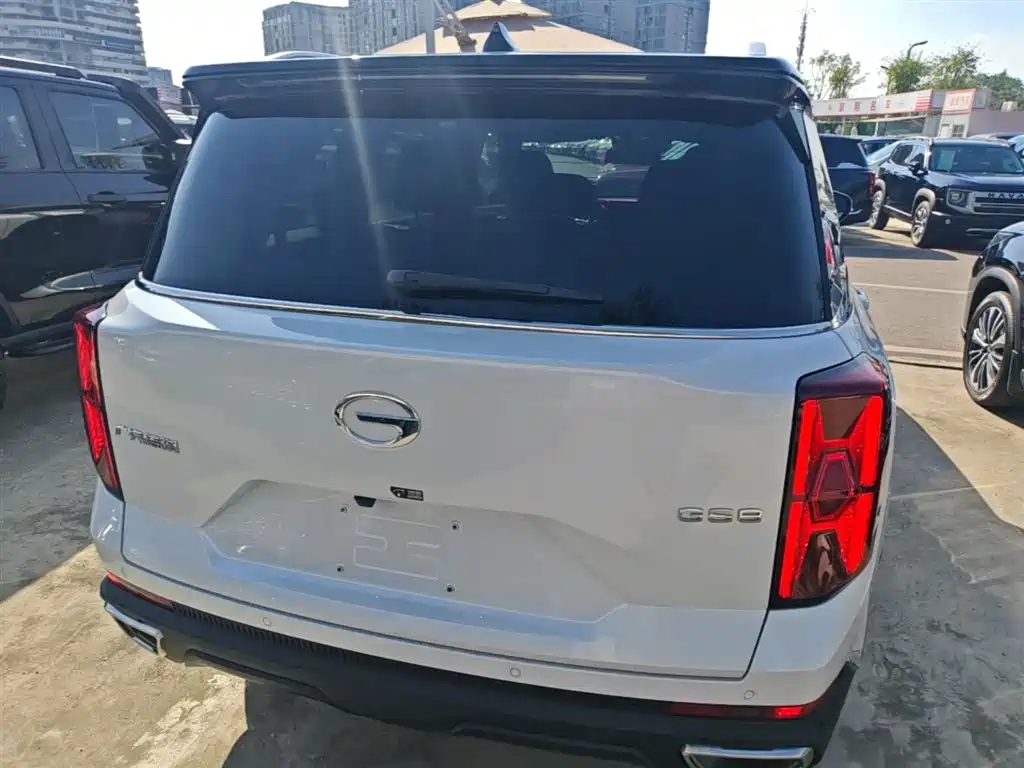 GAC Trumpchi Trumpchi GS8 2022 Pilot Series 2.0TGDI 2WD Premium Edition (7-Seater) фото 6
