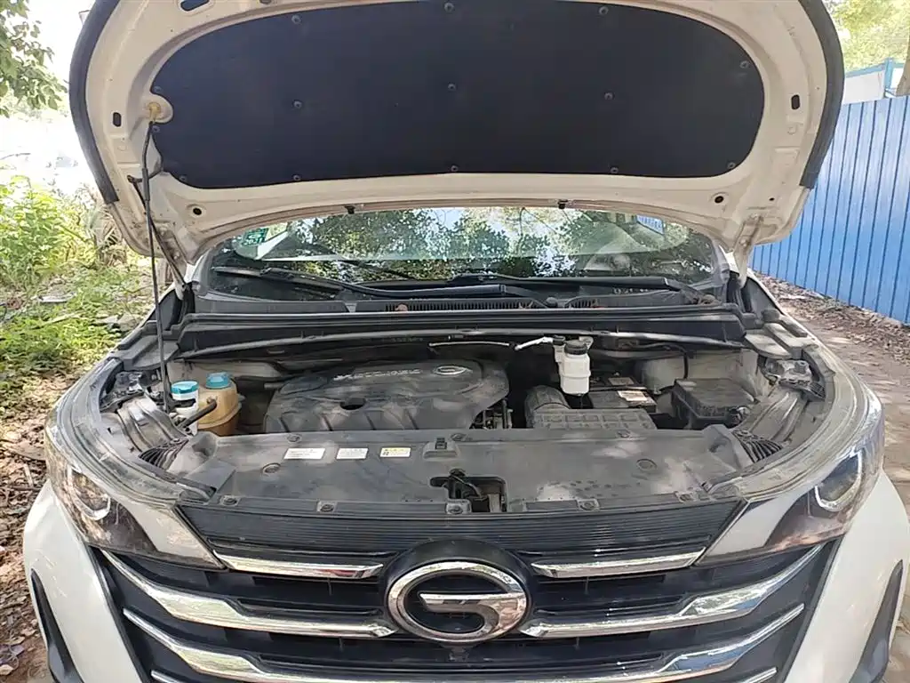 GAC Trumpchi Trumpchi M6 2019 270T Automatic Luxury (7-seater) China V фото 20